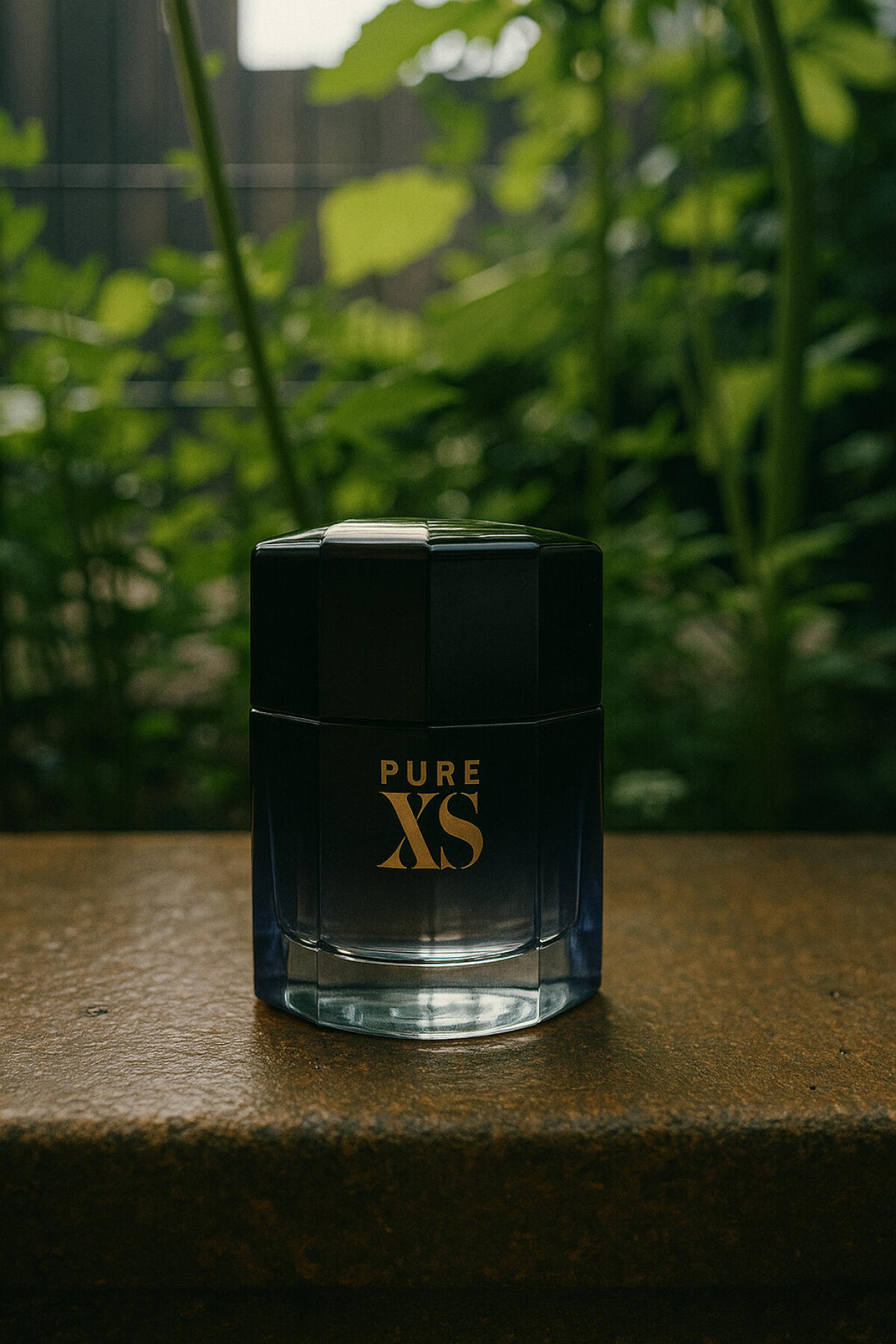 عطر ادکلن پیور ایکس اس رابان - Pure XS Rabanne - بررسی، قیمت و خرید