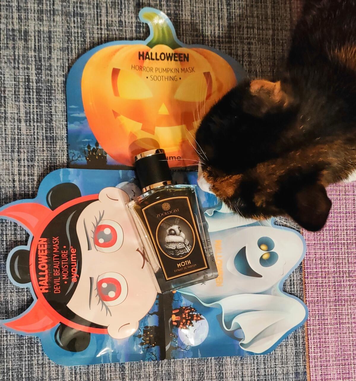 عطر ادکلن مات زولاجیست پرفیومز - Moth Zoologist Perfumes - بررسی، قیمت و خرید