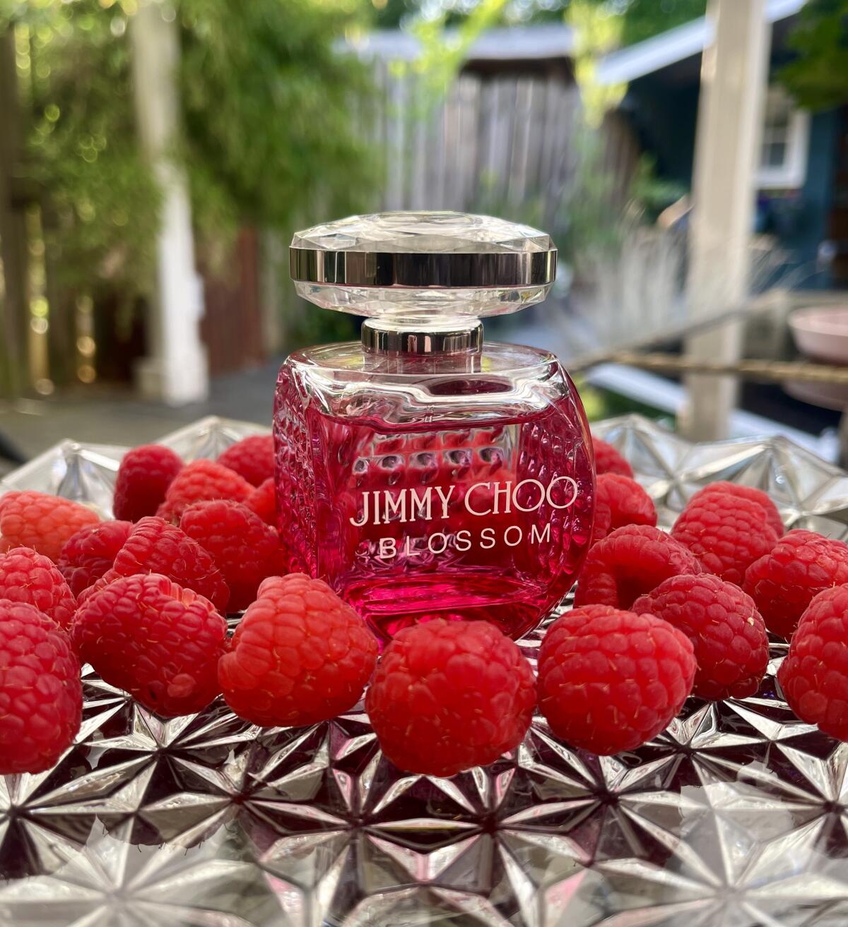 عطر ادکلن جیمی چو بلوسوم جیمی چو - Jimmy Choo Blossom Jimmy Choo - بررسی، قیمت و خرید