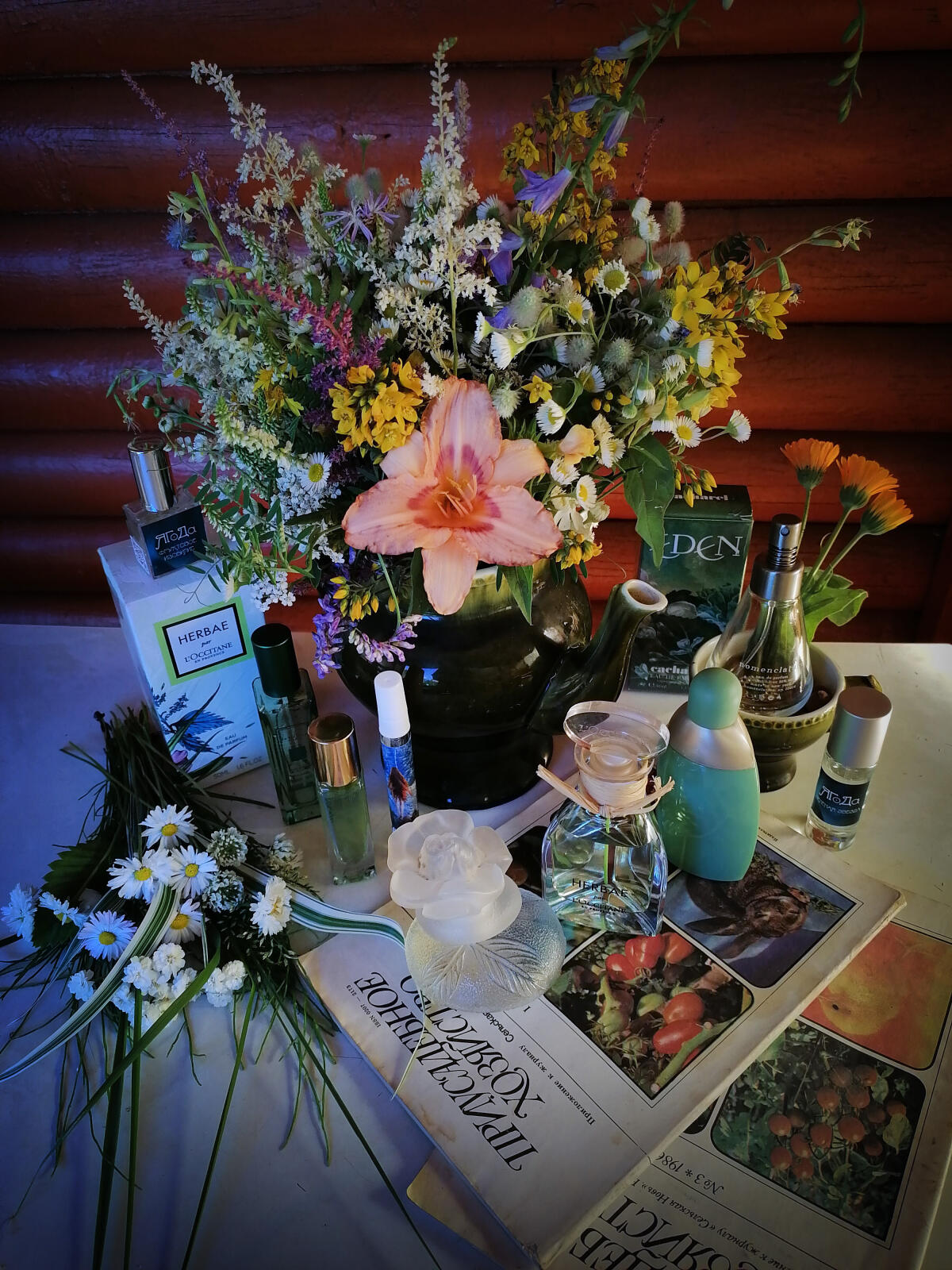 عطر ادکلن هربا لوکسیتان - Herbae L'Occitane en Provence - بررسی، قیمت و خرید