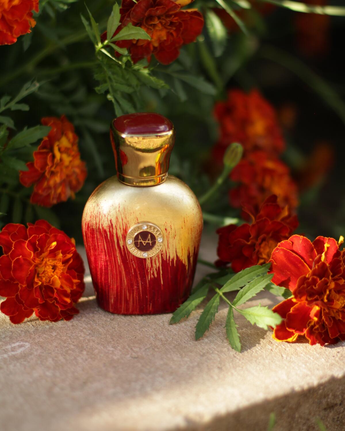 عطر ادکلن کنتسا مورِسک - Contessa Moresque - بررسی، قیمت و خرید