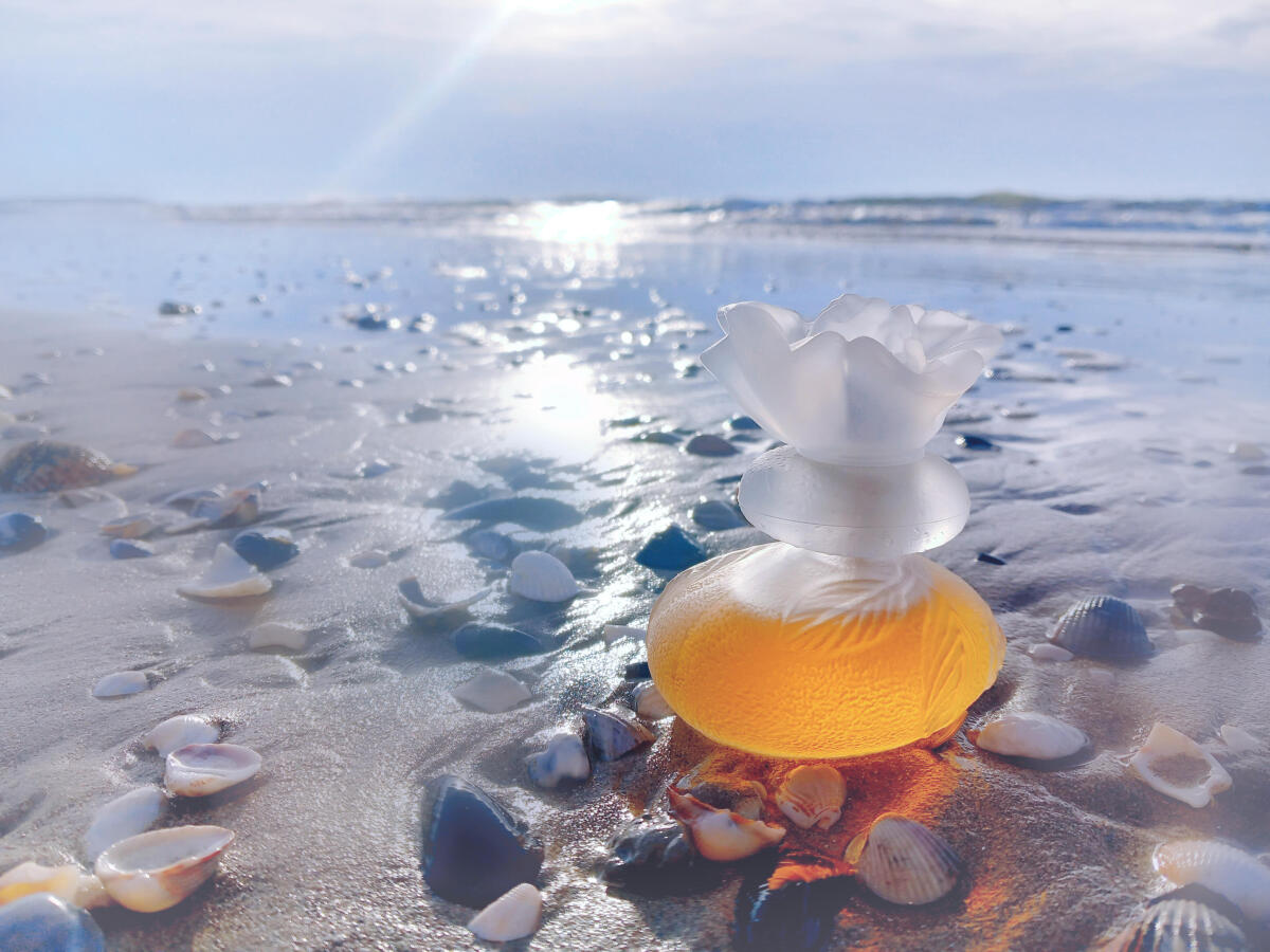 عطر ادکلن سا سن بو کنزو - Ça Sent Beau Kenzo - بررسی، قیمت و خرید