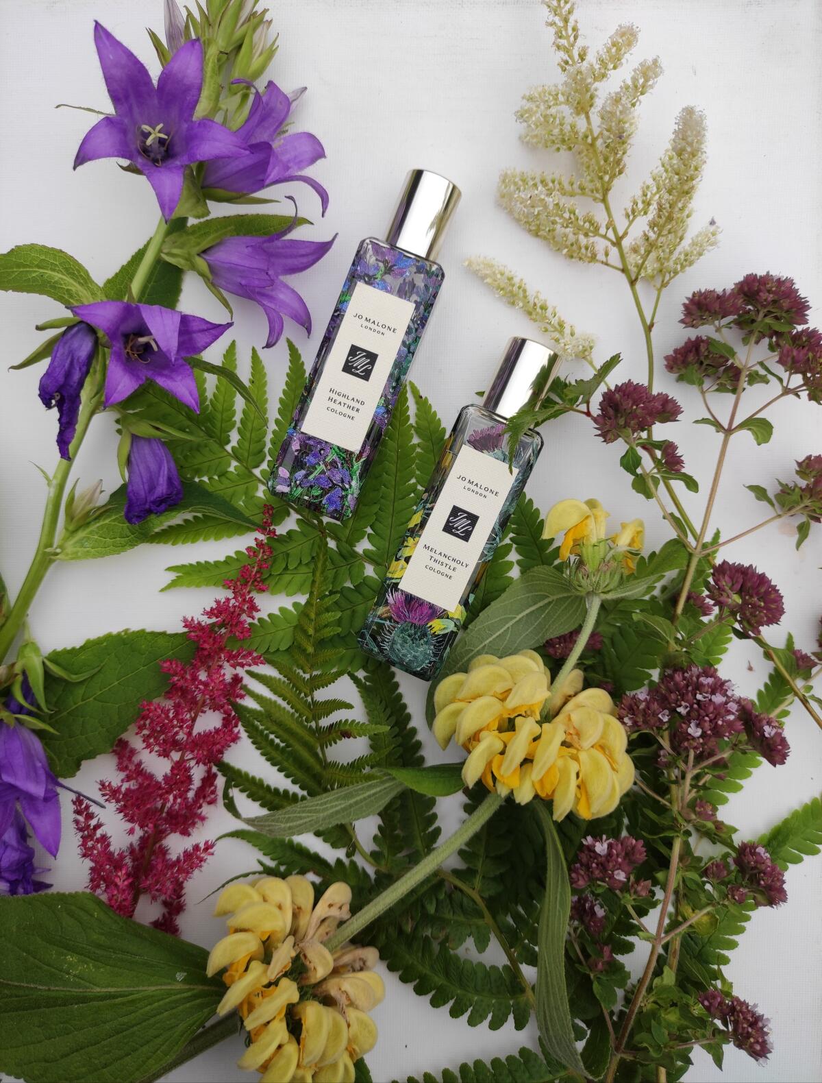 عطر ادکلن هایلند هدر جو مالون لندن - Highland Heather Jo Malone London - بررسی، قیمت و خرید