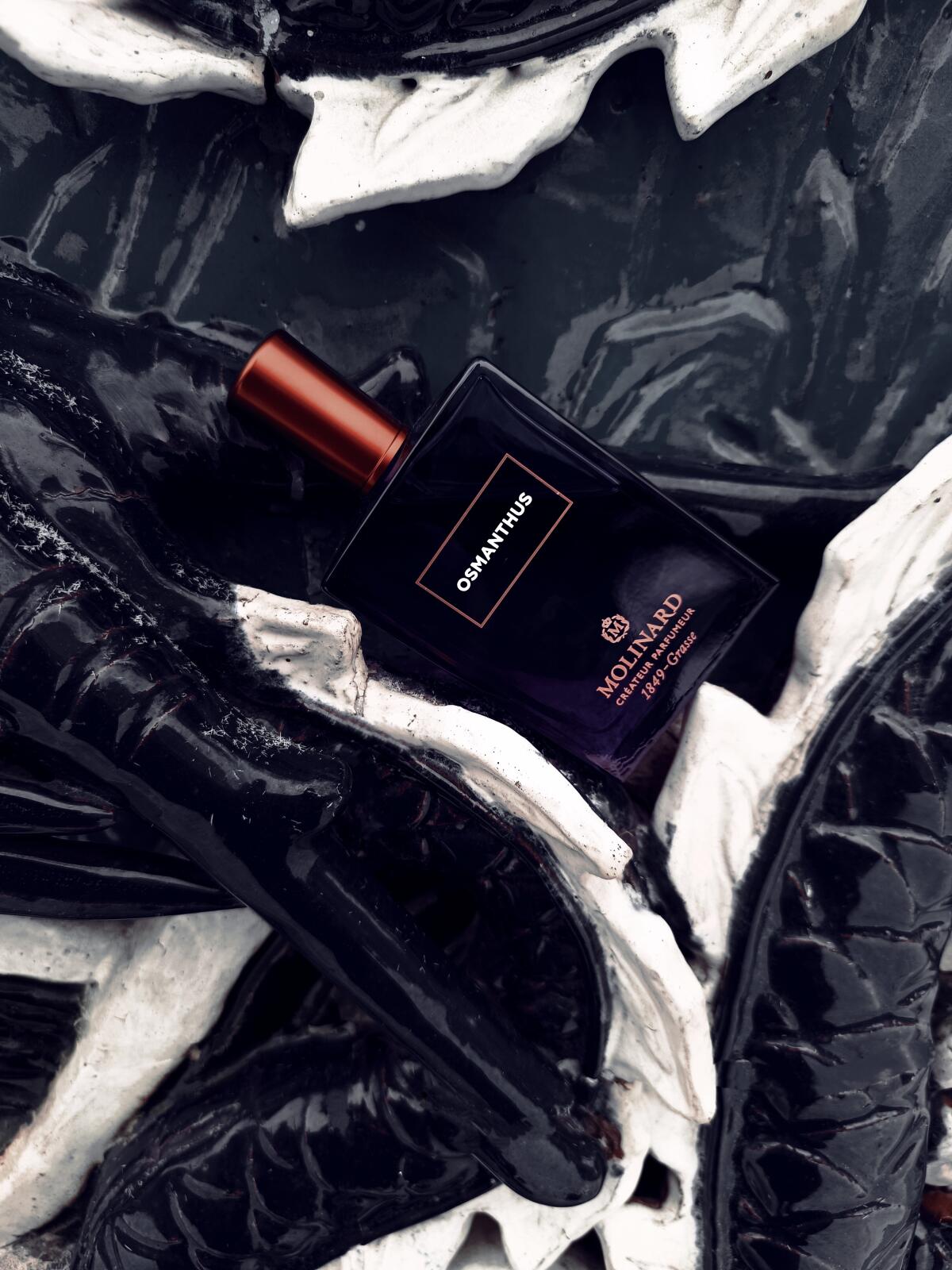 عطر ادکلن اوسمانتوس ادو پرفیوم مولینارد - Osmanthus Eau de Parfum Molinard - بررسی، قیمت و خرید