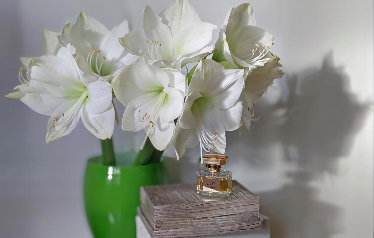 عطر ادکلن جوی فوراور ادو تویلت ژان پاتو - Joy Forever Eau de Toilette Jean Patou - بررسی، قیمت و خرید