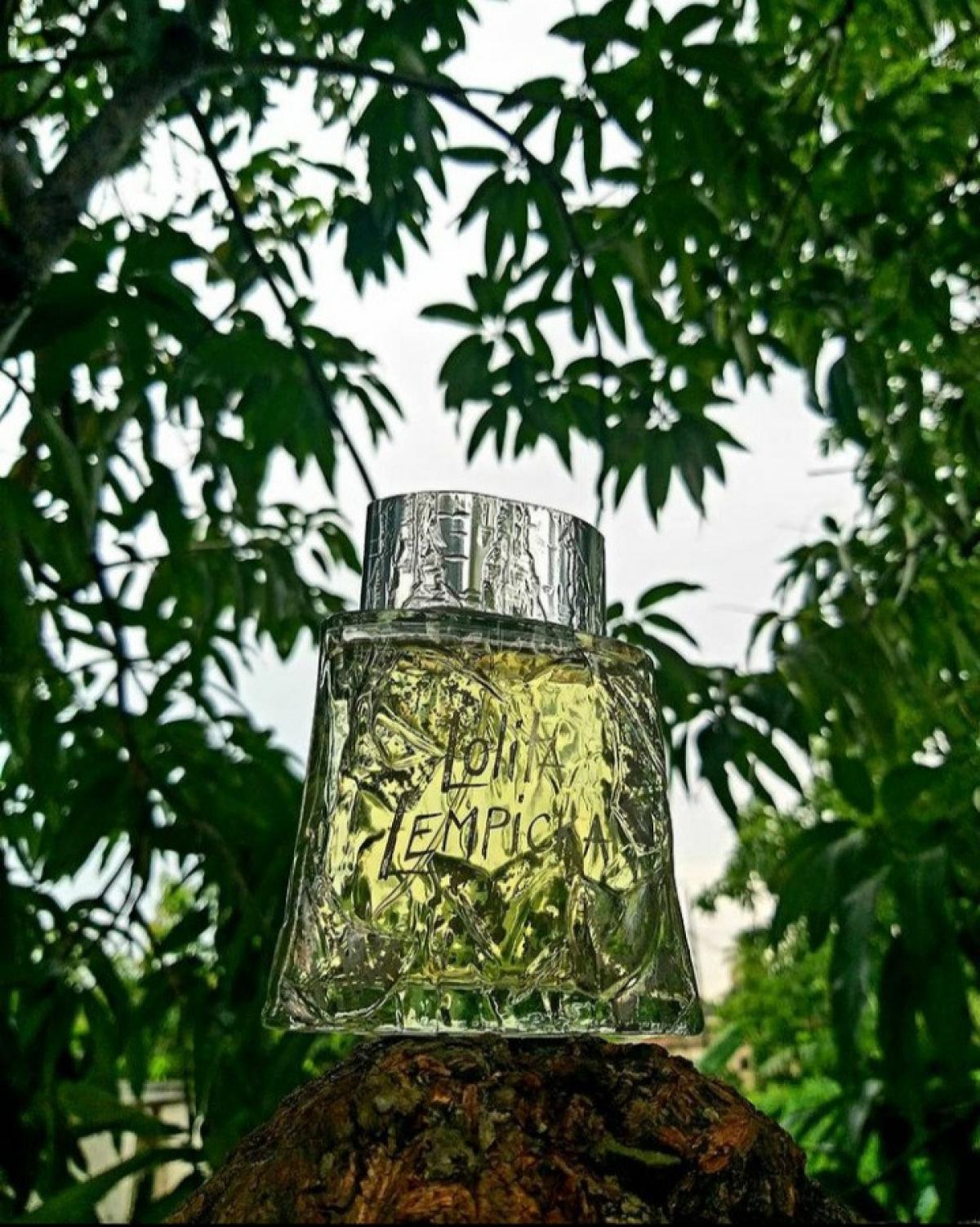 عطر ادکلن لو او مسکولین لولیتا لمپیکا - L'Eau au Masculin Lolita Lempicka - بررسی، قیمت و خرید