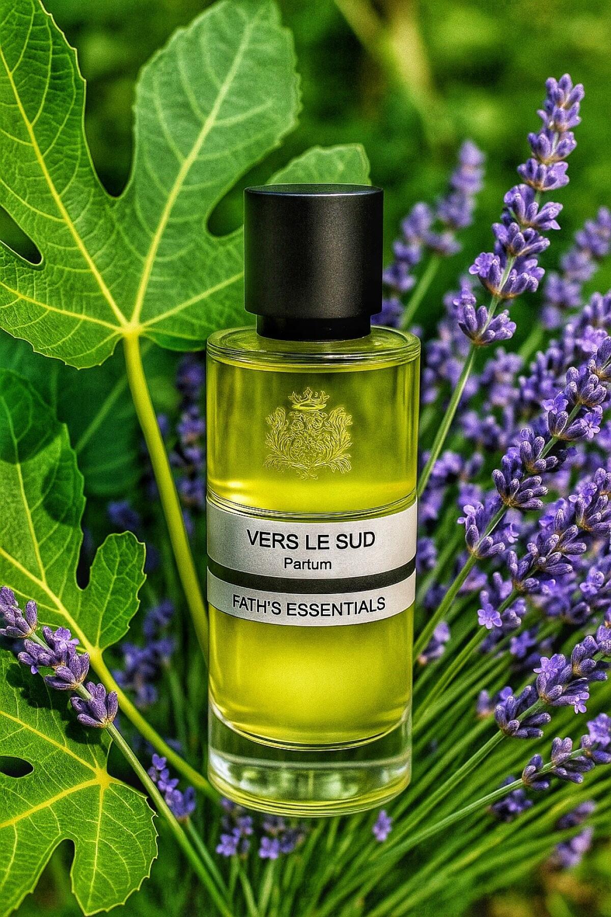 عطر ادکلن ور لو سود ژاک فت - Vers Le Sud Jacques Fath - بررسی، قیمت و خرید