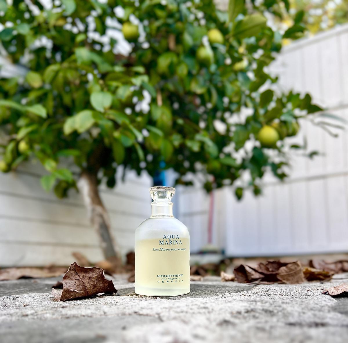 عطر ادکلن آکوا مارینا موناتیم ونیزیا - Aqva Marina Monotheme Venezia - بررسی، قیمت و خرید