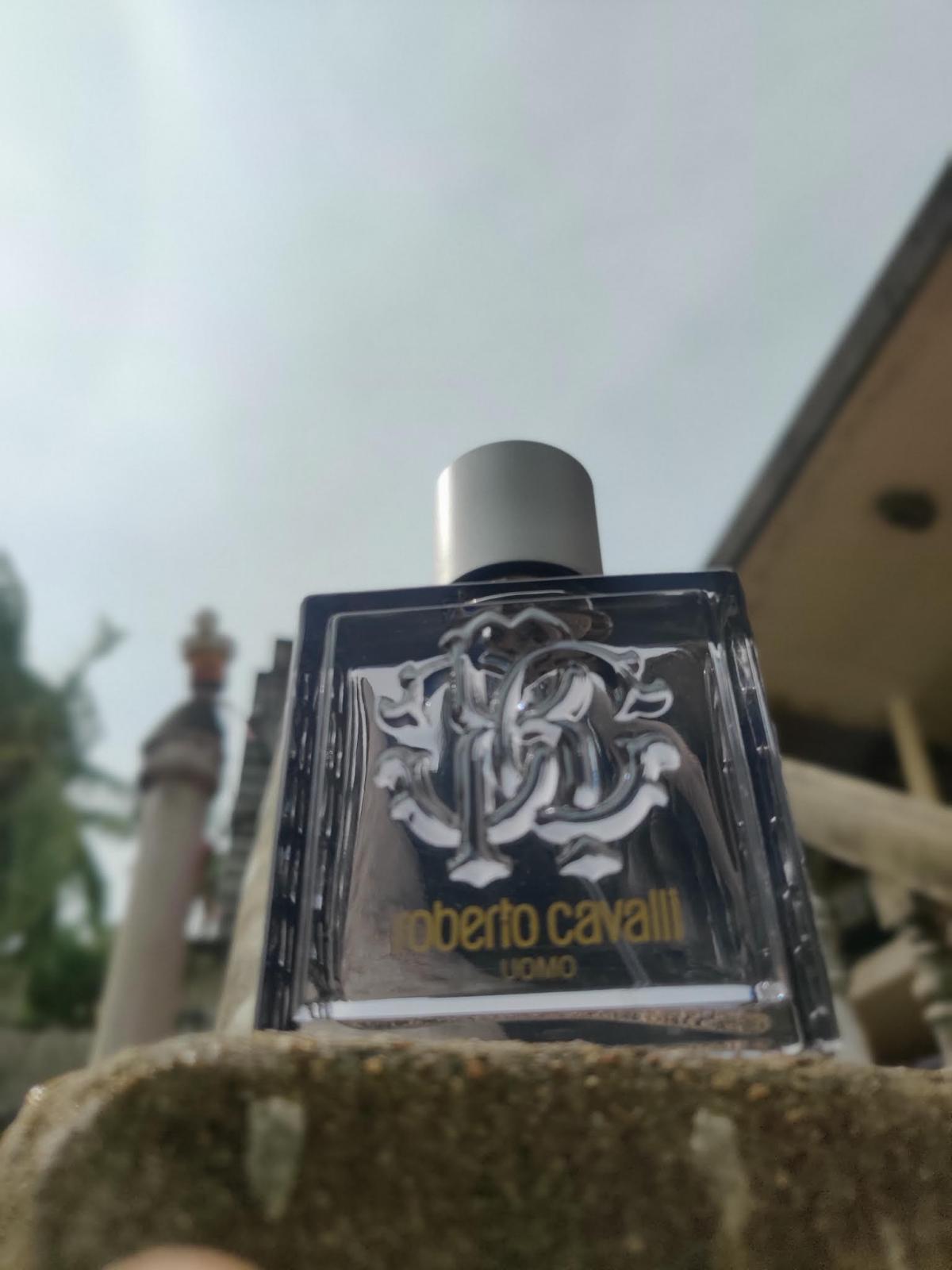 عطر ادکلن روبerto کاوالی اومو سیلور اسنس روبرتو کاوالی - Roberto Cavalli Uomo Silver Essence Roberto Cavalli - بررسی، قیمت و خرید