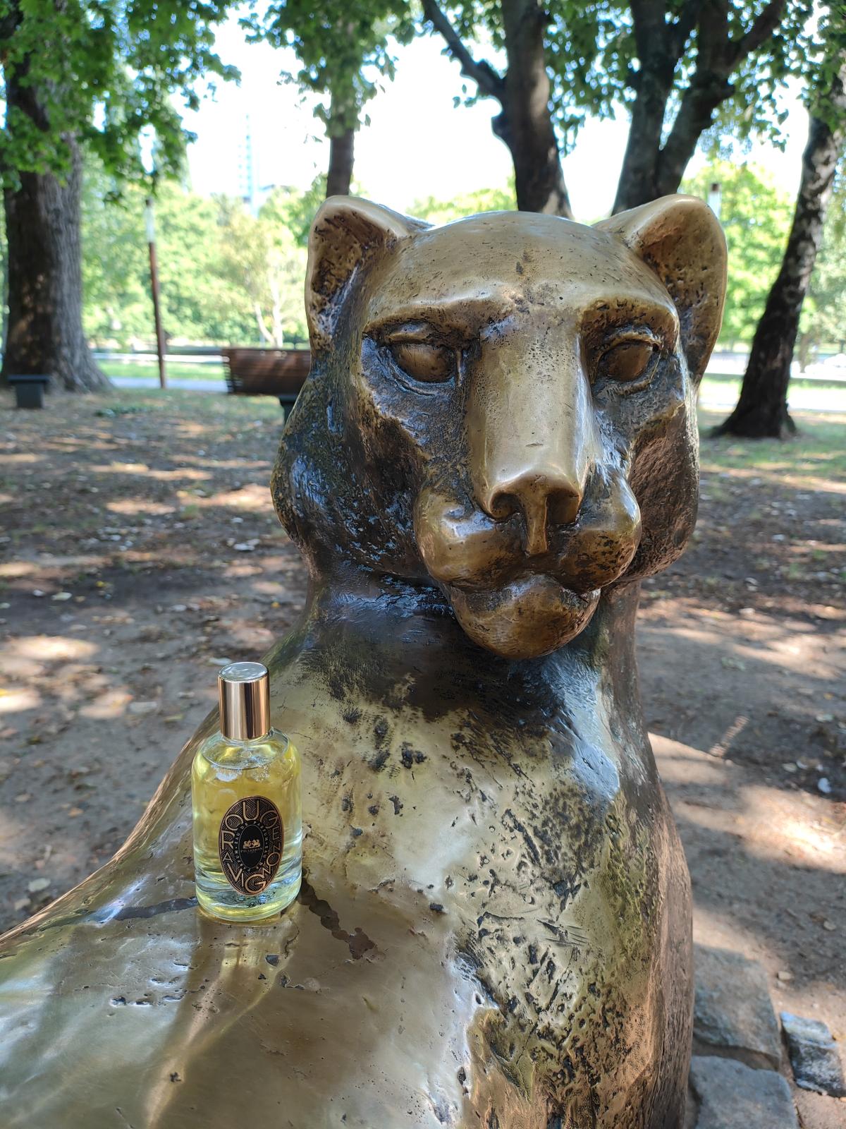 عطر ادکلن روژ آوینیون فایدون - Rouge Avignon Phaedon - بررسی، قیمت و خرید