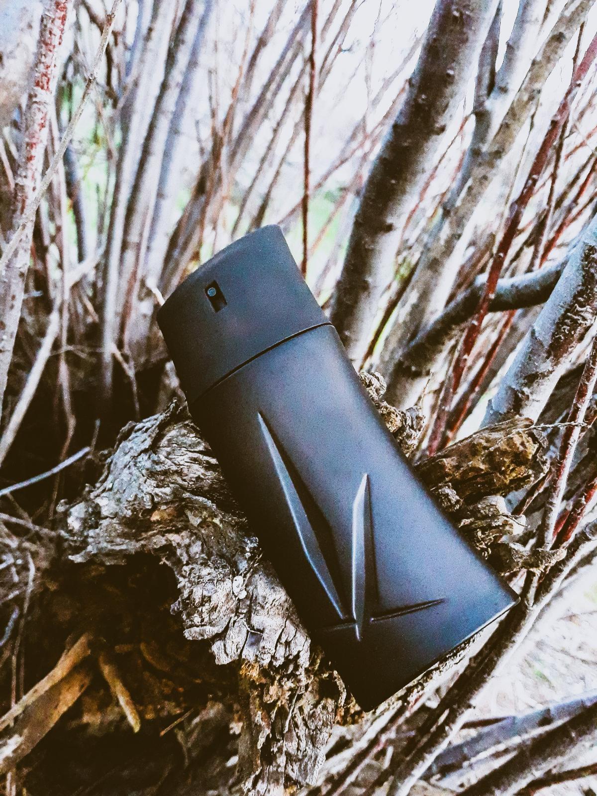 عطر ادکلن کنزو اوم بویزی کنزو - Kenzo Homme Boisee Kenzo - بررسی، قیمت و خرید