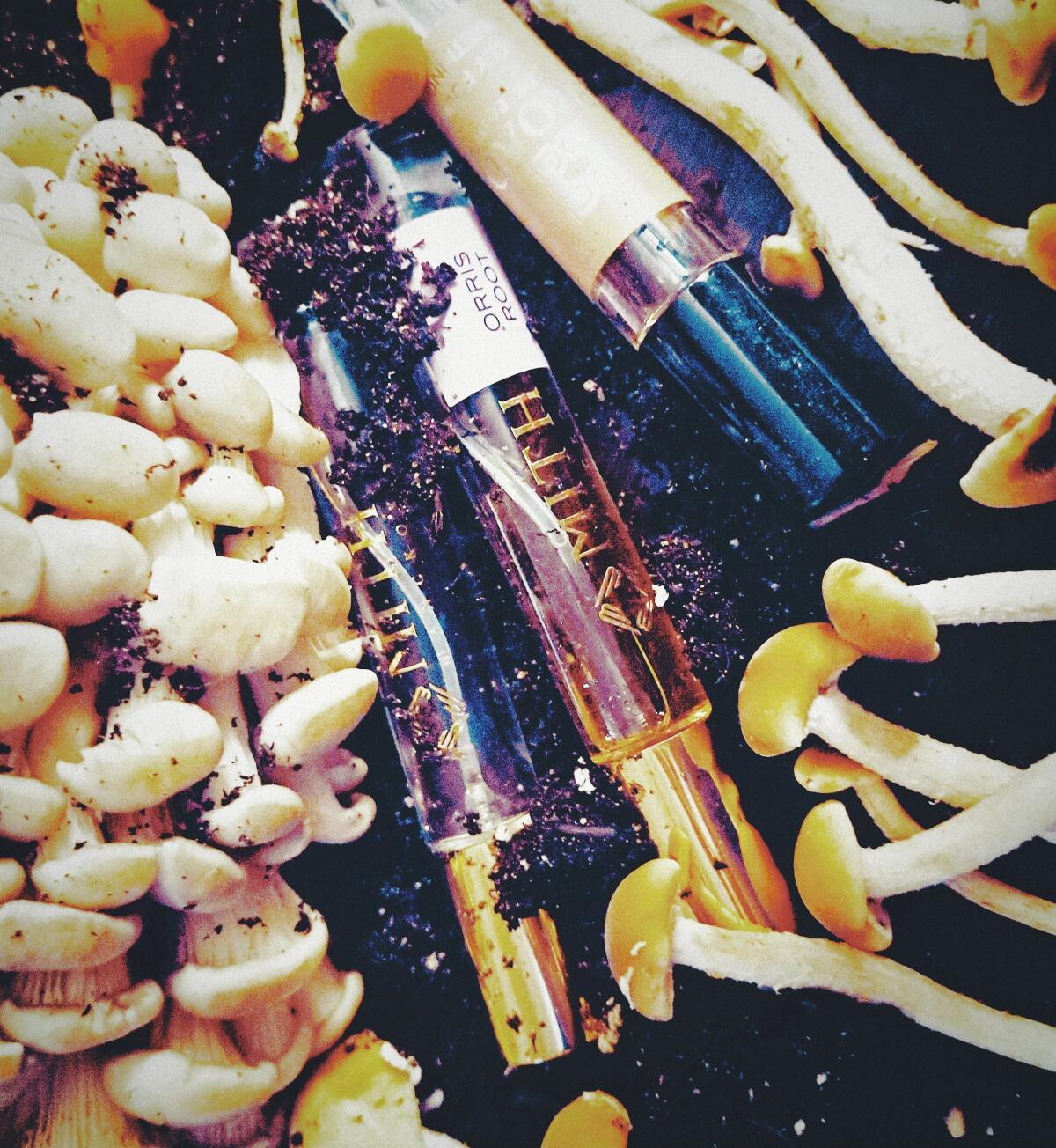 عطر ادکلن آی فاینلی فاند سامتینگ پرواد - I Finally Found Something Proad - بررسی، قیمت و خرید