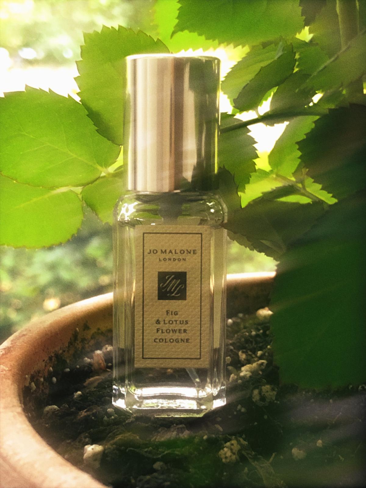 عطر ادکلن فیگ اند لوتوس فلاور جو مالون لاندن - Fig & Lotus Flower Jo Malone London - بررسی، قیمت و خرید