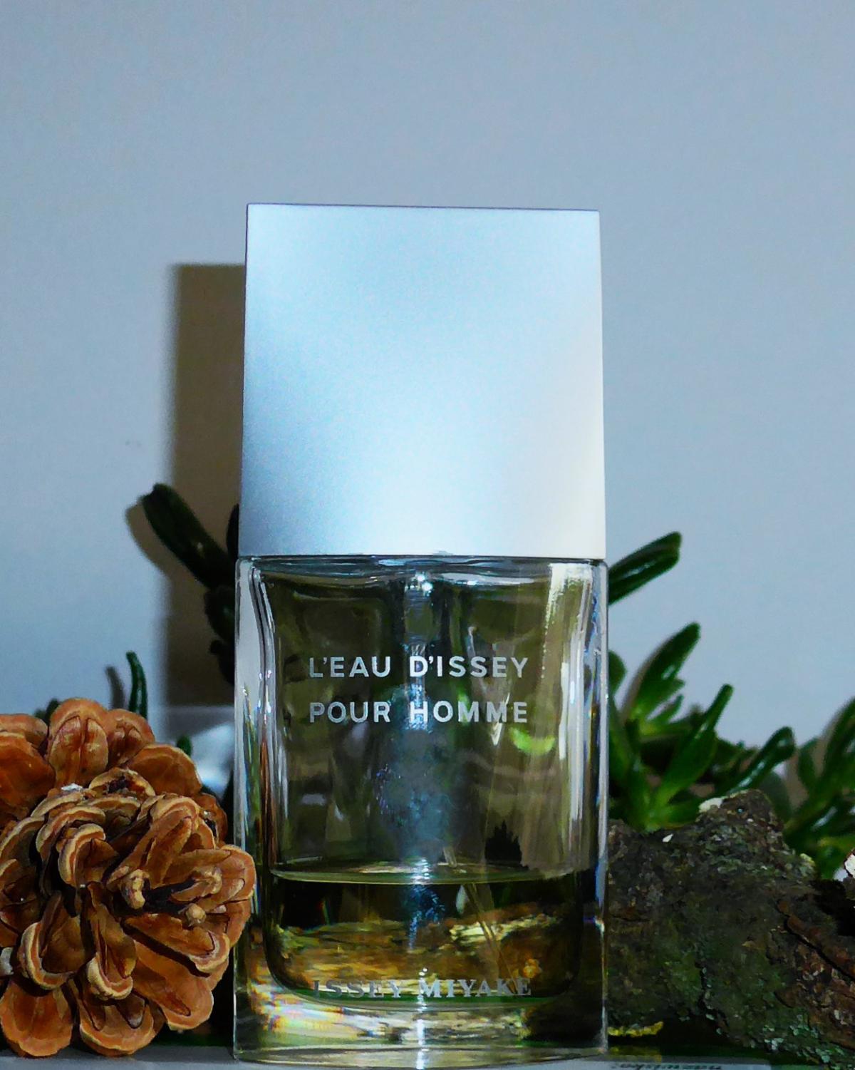 عطر ادکلن لو دیسی پور هوم فرش ایسه میاکه - L'Eau d'Issey Pour Homme Fraiche Issey Miyake - بررسی، قیمت و خرید