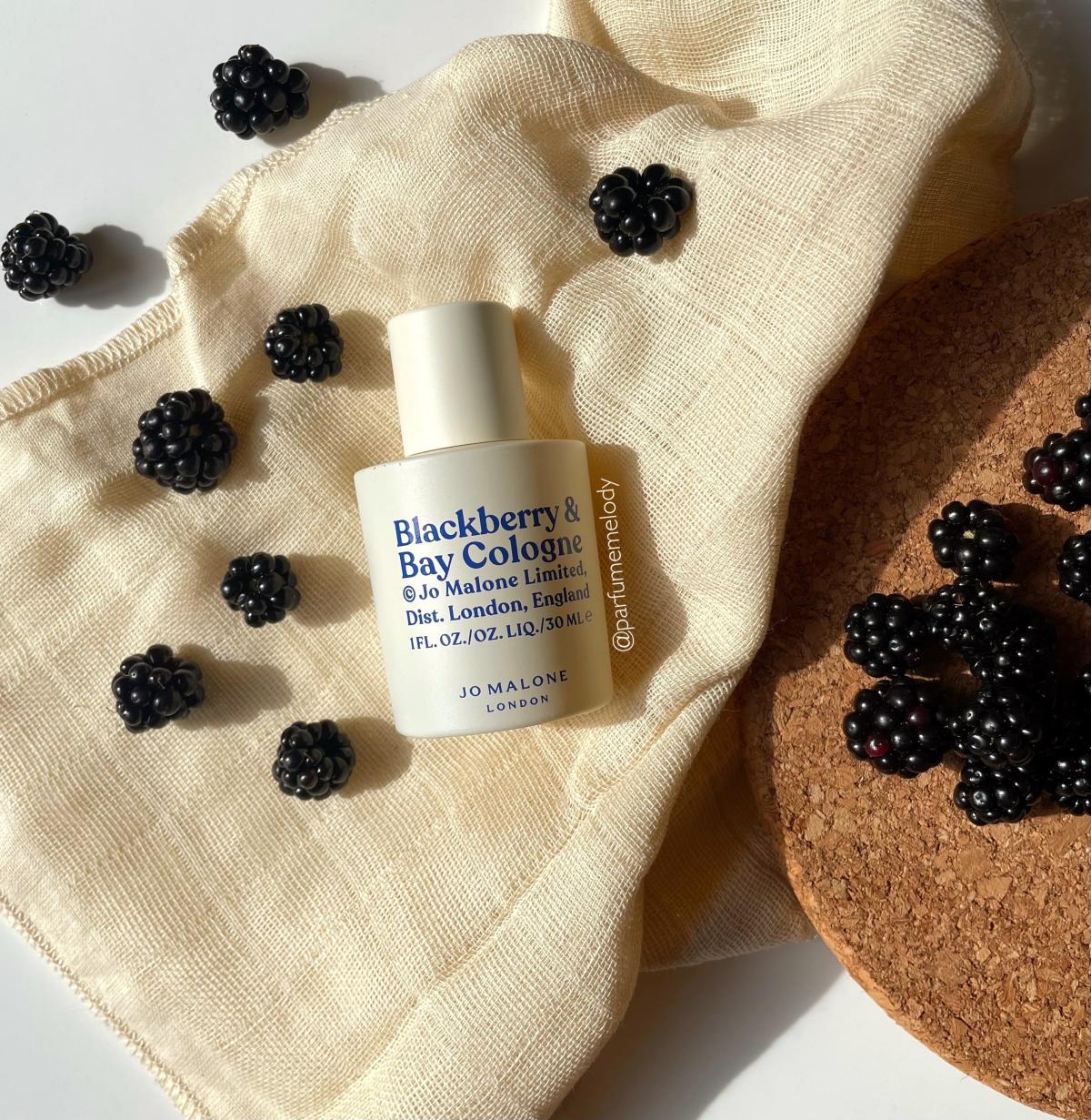 عطر ادکلن بلک‌بری اند بی کلون جو مالون لاندن - Blackberry & Bay Cologne Jo Malone London - بررسی، قیمت و خرید