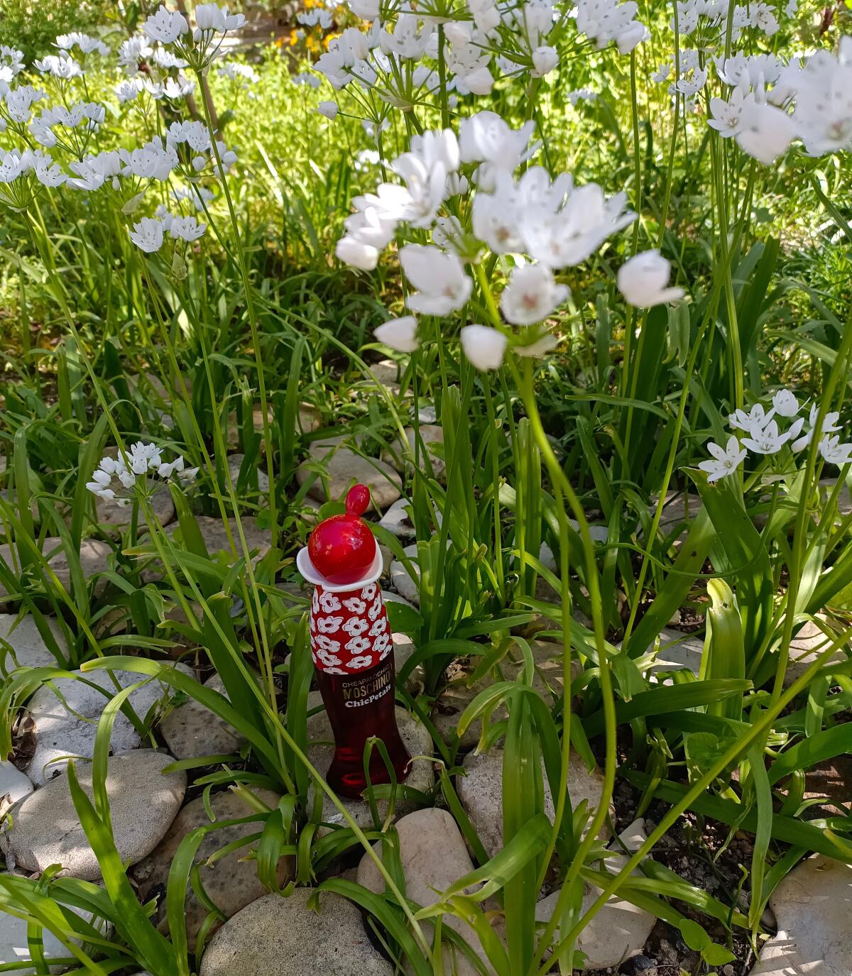 عطر ادکلن چیپ اند شیک شیک پتالز ماسکینو - Cheap & Chic Chic Petals Moschino - بررسی، قیمت و خرید