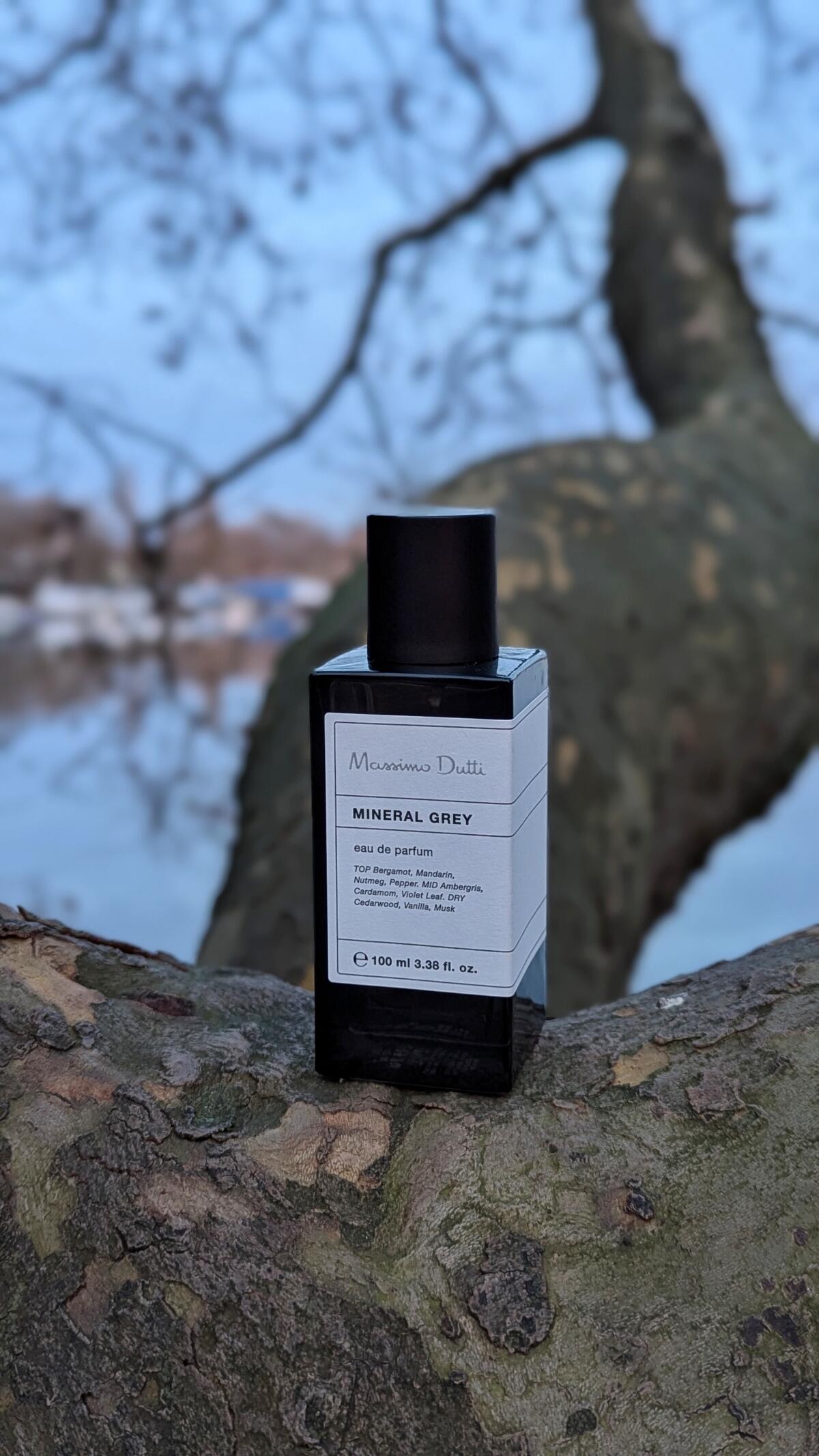 عطر ادکلن ماینرال گری ماسیمو دوتی - Mineral Grey Massimo Dutti - بررسی، قیمت و خرید