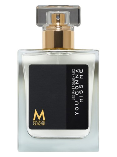 عطر ادکلن یو گُنا میس می مزون الفکتیو - You Gonna Miss Me MAISON OLFACTIF - بررسی، قیمت و خرید