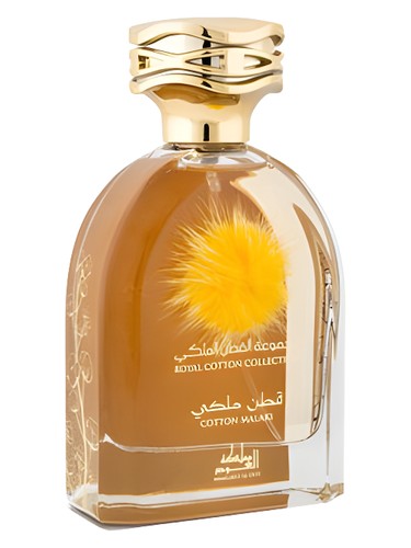 عطر ادکلن کاتن ملکی مملکت العود - Cotton Malaki Mamlakat Al Oud - بررسی، قیمت و خرید