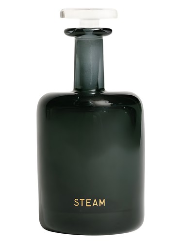 عطر ادکلن استیم پرفیومر اچ - Steam Perfumer H - بررسی، قیمت و خرید