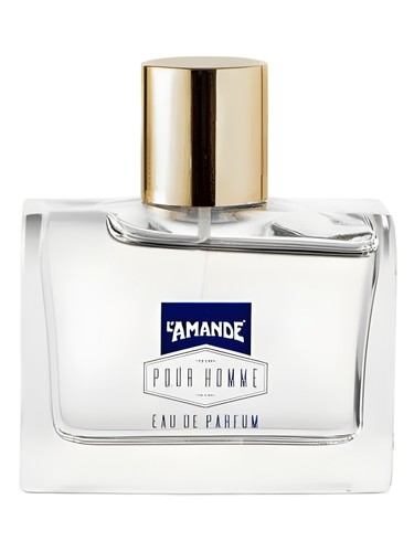 عطر ادکلن پور هوم او دو پرفیوم لاماند - Pour Homme Eau de Parfum L'Amande - بررسی، قیمت و خرید