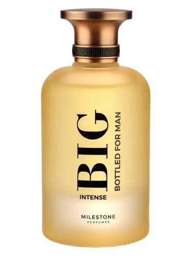 عطر ادکلن بیگ باتلد اینتنس مایلستون پرفیومز - Big Bottled Intense Milestone Perfumes - بررسی، قیمت و خرید