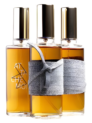 عطر ادکلن آتاشه ما آیکونوفلای - Attache-Moi ICONOFLY - بررسی، قیمت و خرید