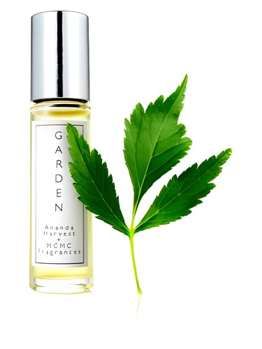 عطر ادکلن د گاردن ام سی ام سی فرگرنسز - The Garden MCMC Fragrances - بررسی، قیمت و خرید