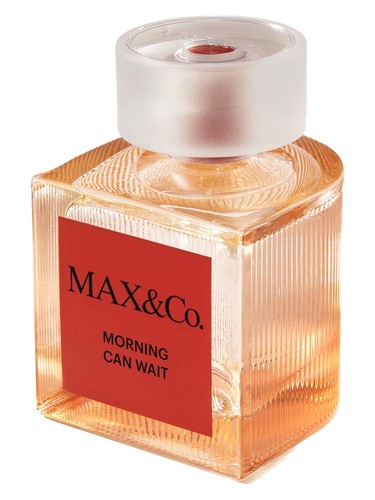 عطر ادکلن مورنینگ کن ویت مکس اند کو - Morning Can Wait MAX&Co. - بررسی، قیمت و خرید