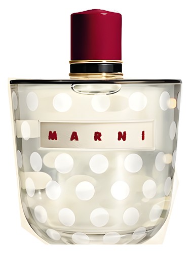 عطر ادکلن مارنی مارنی - Marni Marni - بررسی، قیمت و خرید