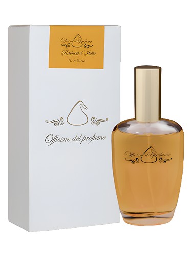عطر ادکلن پاچولی دیتالیا اوفیسین دل پروفومو - Patchouli d'Italia Officine del Profumo - بررسی، قیمت و خرید
