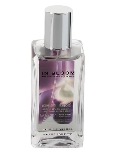 عطر ادکلن ارکید اند وانیلا مارکس اند اسپنسر - Orchid and Vanilla Marks & Spencer - بررسی، قیمت و خرید