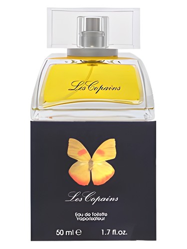 عطر ادکلن پَپیلون له کوپَن - Papillon Les Copains - بررسی، قیمت و خرید
