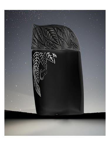 عطر ادکلن راژین مایدنایت جونايد پرفیوم - Razeen Midnight Junaid Perfumes - بررسی، قیمت و خرید