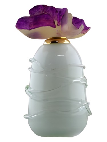 عطر ادکلن تیوف جونايد پرفیومز - Tiyoof Junaid Perfumes - بررسی، قیمت و خرید