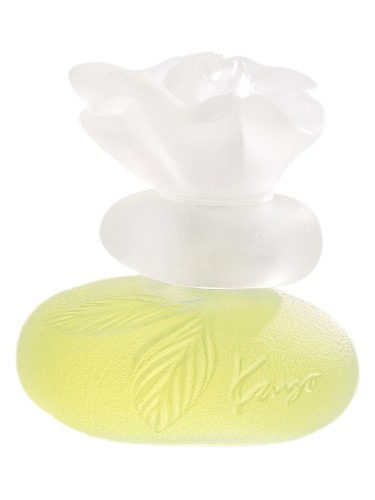 عطر ادکلن سا سن بو کنزو - Ça Sent Beau Kenzo - بررسی، قیمت و خرید