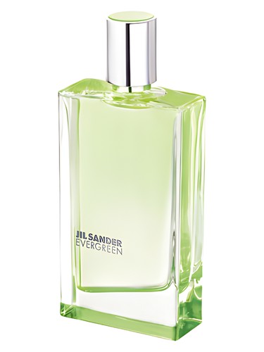 عطر ادکلن اِوِرگِرین جیل سندر - Evergreen Jil Sander - بررسی، قیمت و خرید