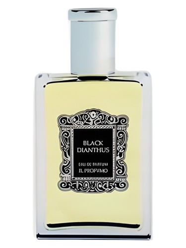 عطر ادکلن بلاک دیانتوس ایل پروفو - Black Dianthus Il Profvmo - بررسی، قیمت و خرید