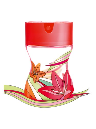 عطر ادکلن مای مورگان مورگان - My Morgan Morgan - بررسی، قیمت و خرید