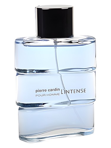 عطر ادکلن پیر کاردین پور هوم لَنتِنس پیر کاردن - Pierre Cardin pour Homme l'Intense Pierre Cardin - بررسی، قیمت و خرید