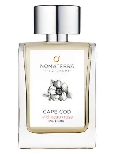 عطر ادکلن کیپ کاد وایلد بیچ رز نوماترا - Cape Cod Wild Beach Rose Nomaterra - بررسی، قیمت و خرید