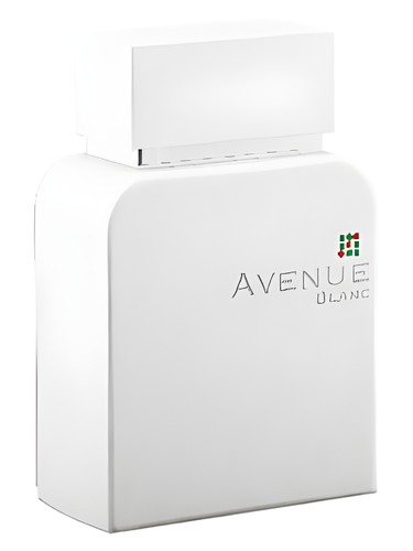 عطر ادکلن اونیو بلانک ام پی اف - Avenue Blanc MPF - بررسی، قیمت و خرید