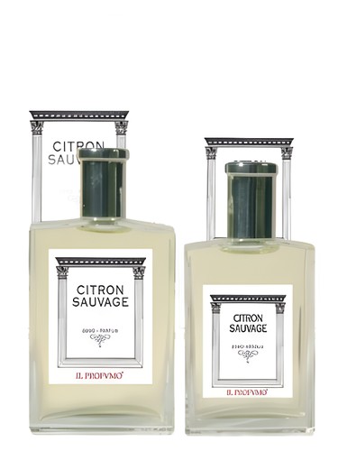 عطر ادکلن آسمو سنتس سیترون ساواژ ایل پروفومو - Osmo Scents Citron Sauvage Il Profvmo - بررسی، قیمت و خرید