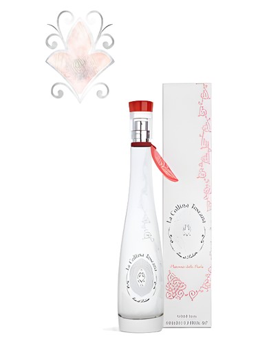 عطر ادکلن لا کولینا توسکانا پاپی آف کلیفس لا کولینا توسکانا - La Collina Toscana Poppy of Cliffs La Collina Toscana - بررسی، قیمت و خرید