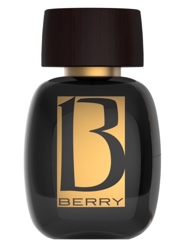 عطر ادکلن میستیک مازون دو پرفیوم بری - Mystique Maison de Parfum Berry - بررسی، قیمت و خرید