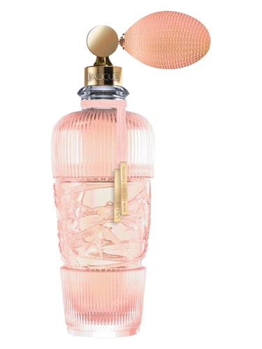 عطر ادکلن تاندِر لالیک - Tendre Lalique - بررسی، قیمت و خرید