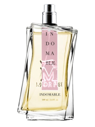 عطر ادکلن ایندومابل مورف - Indomable Morph - بررسی، قیمت و خرید