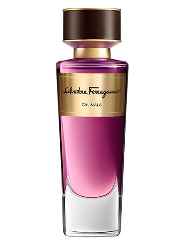 عطر ادکلن کالیمالا سالواتوره فراگامو - Calimala Salvatore Ferragamo - بررسی، قیمت و خرید