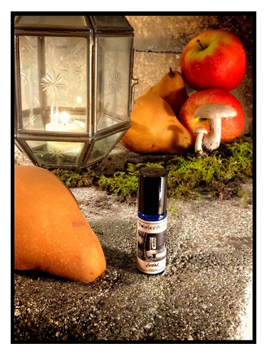 عطر ادکلن سلر سولستیس سنتس - Cellar Solstice Scents - بررسی، قیمت و خرید