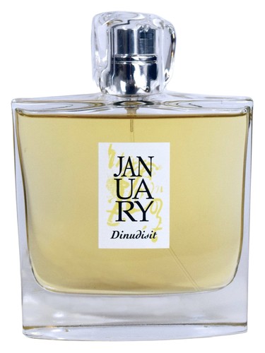 عطر ادکلن دینودیسیت جنیوری سنت پروجکت - Dinudisit January Scent Project - بررسی، قیمت و خرید